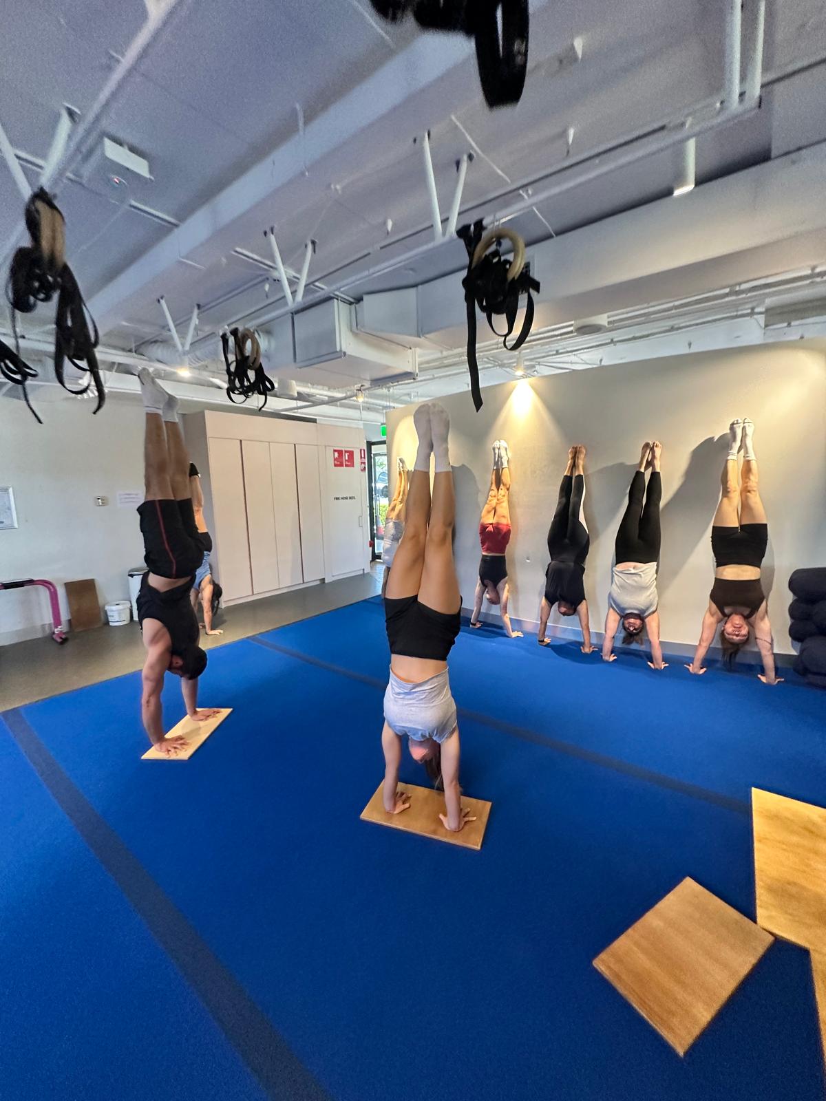 handstandworkshop1