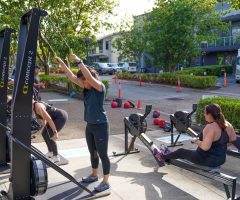 Results of the  Movement HQ Weight Loss Challenge